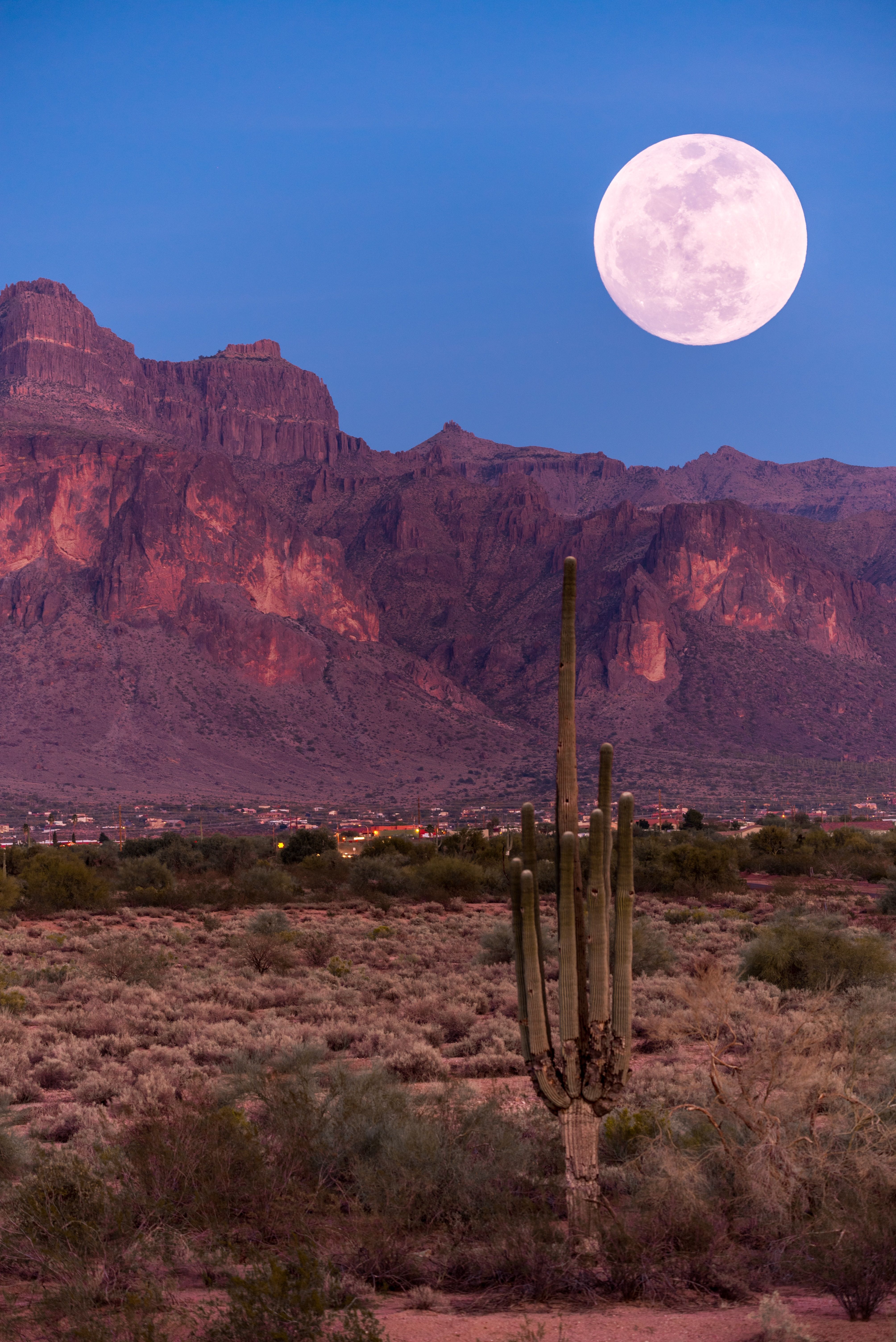 Full moon rising over a mountain desert and cactus