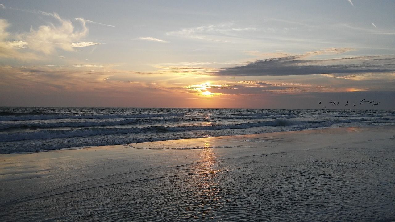 Gulf of Mexico Venice Florida