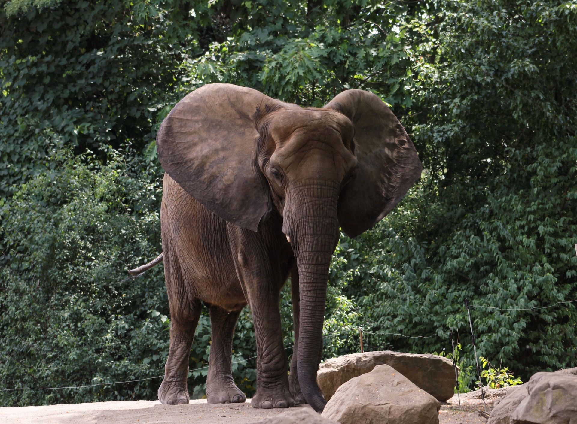 Pittsburgh Zoo, U.S.