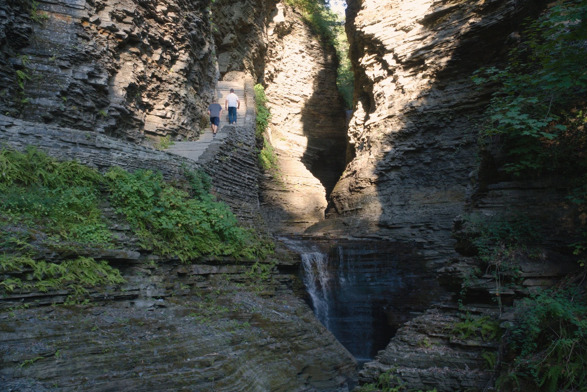 10 Best Cabin Rentals You Can Book In Watkins Glen State Park