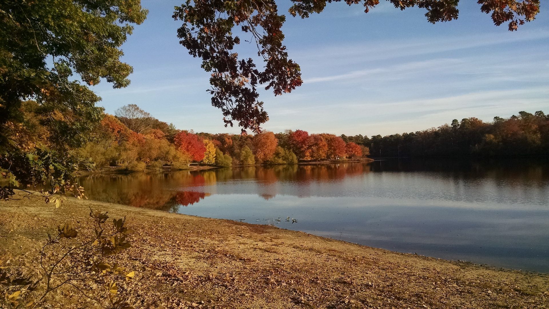 Turkey Swamp Park at Monmouth County