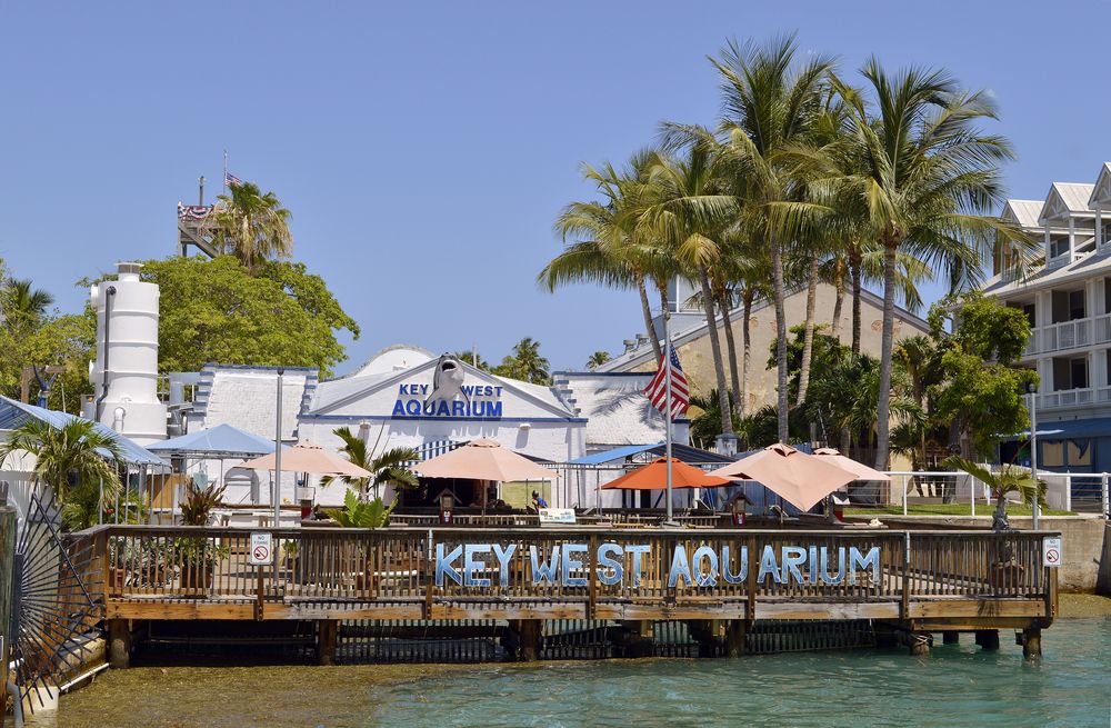 Key West Aquarium, Florida