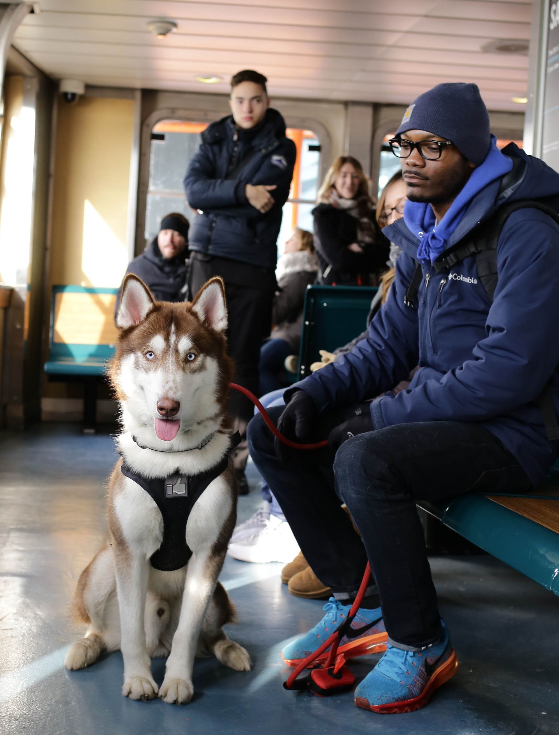 Service animals on Amtrak