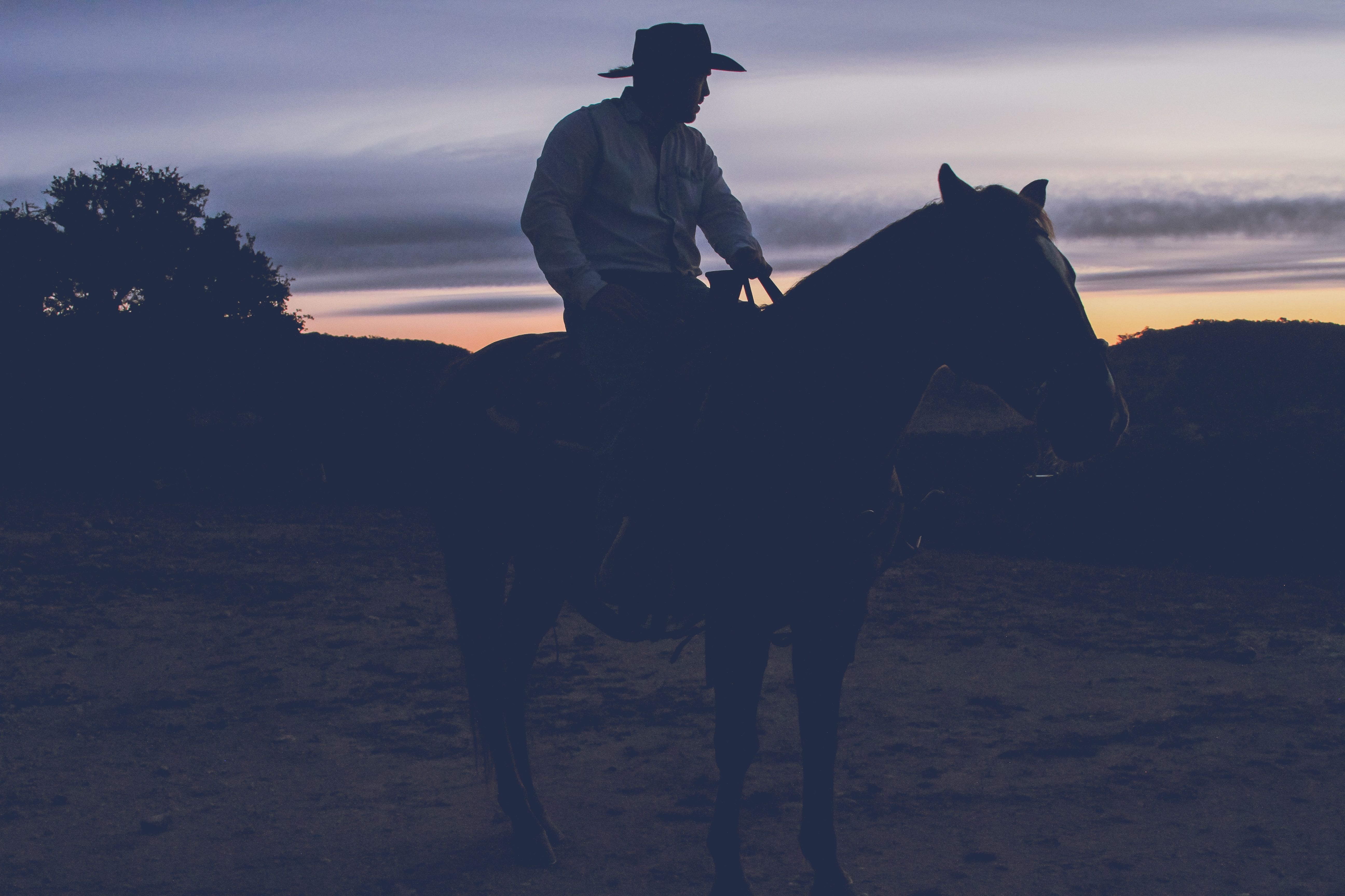 Man on a horse in a cowboy hat 