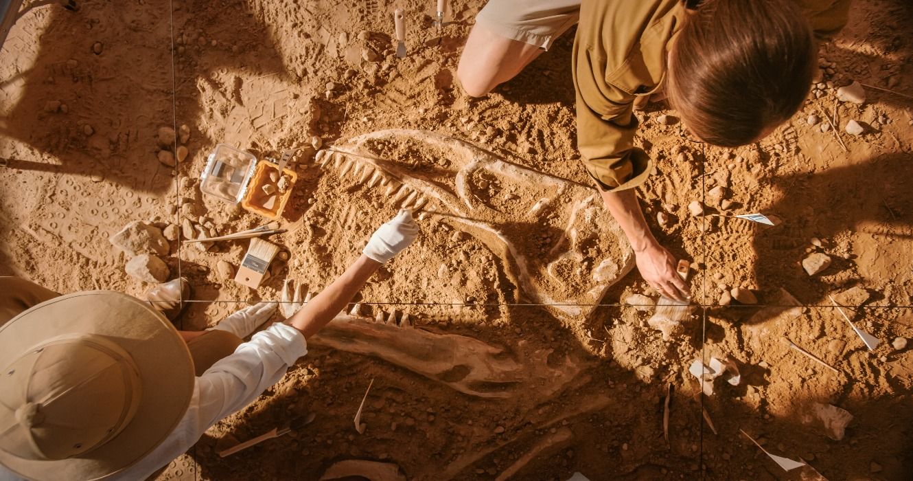 Paleontologists cleaning a dinosaur skeleton fossil