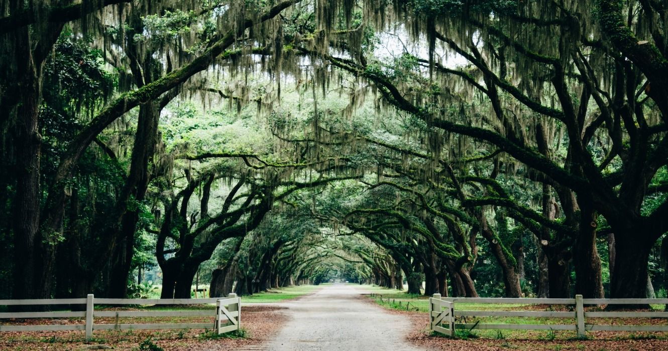 A park in Savannah, Georgia, United States