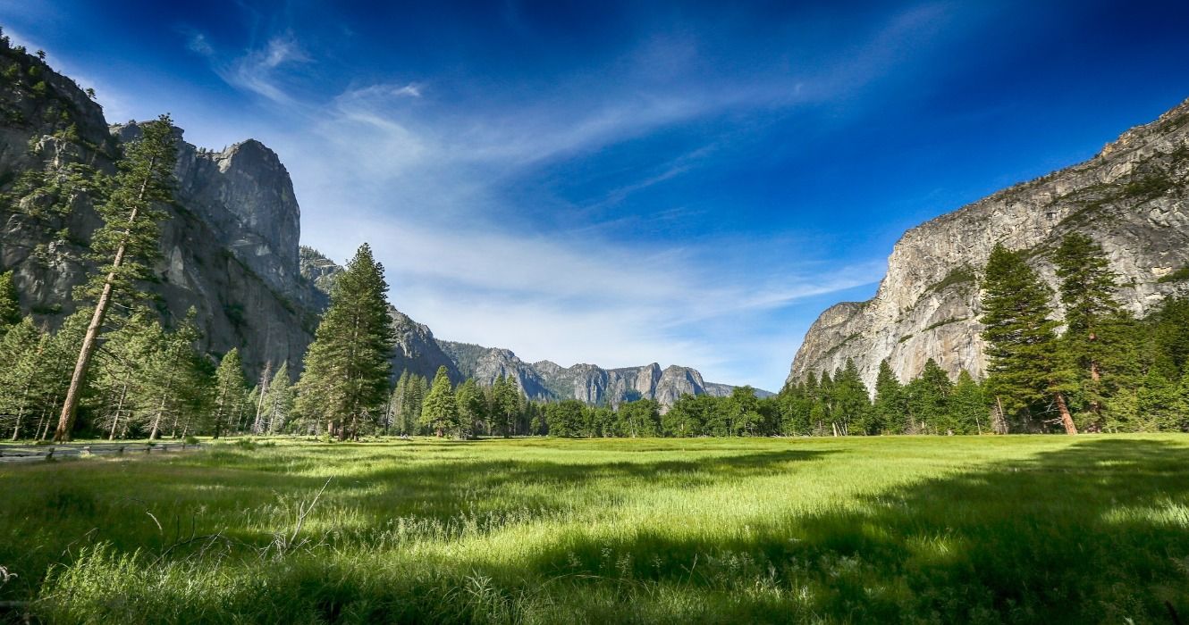 Grassy lands, trees, and rock formations in Yosemite National Park, Yosemite, California, USA