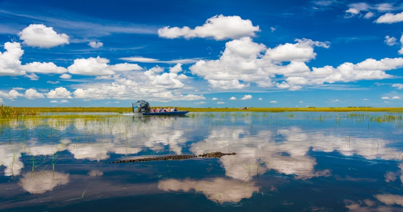 Blue skies reflecting on the still waters of the swamps in Everglades National Park in Florida as tourists take airboat tour to see alligators in the wild