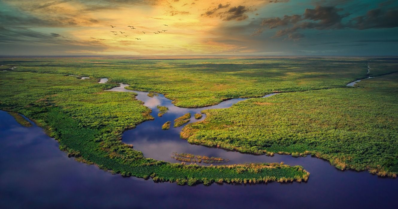 Aerial view of the water, forest, and swamps of the Florida Everglades at sunset