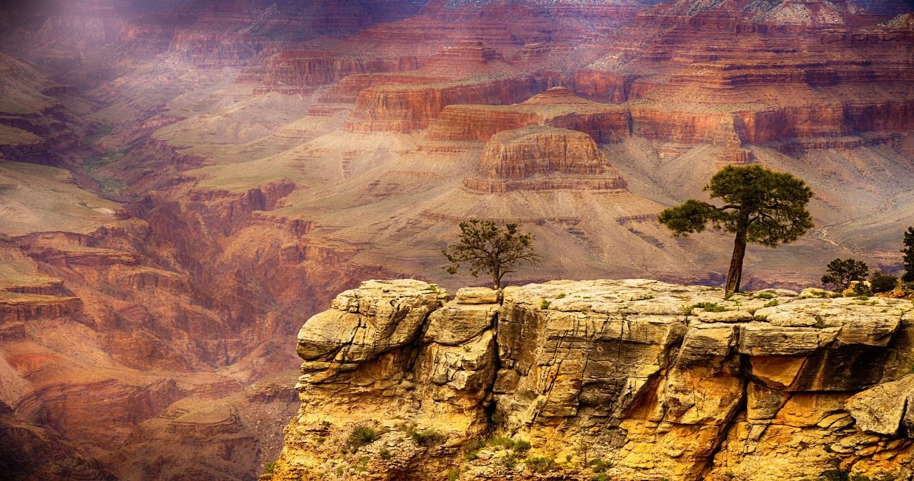 A cliff with trees in the Grand Canyon, Arizona, USA
