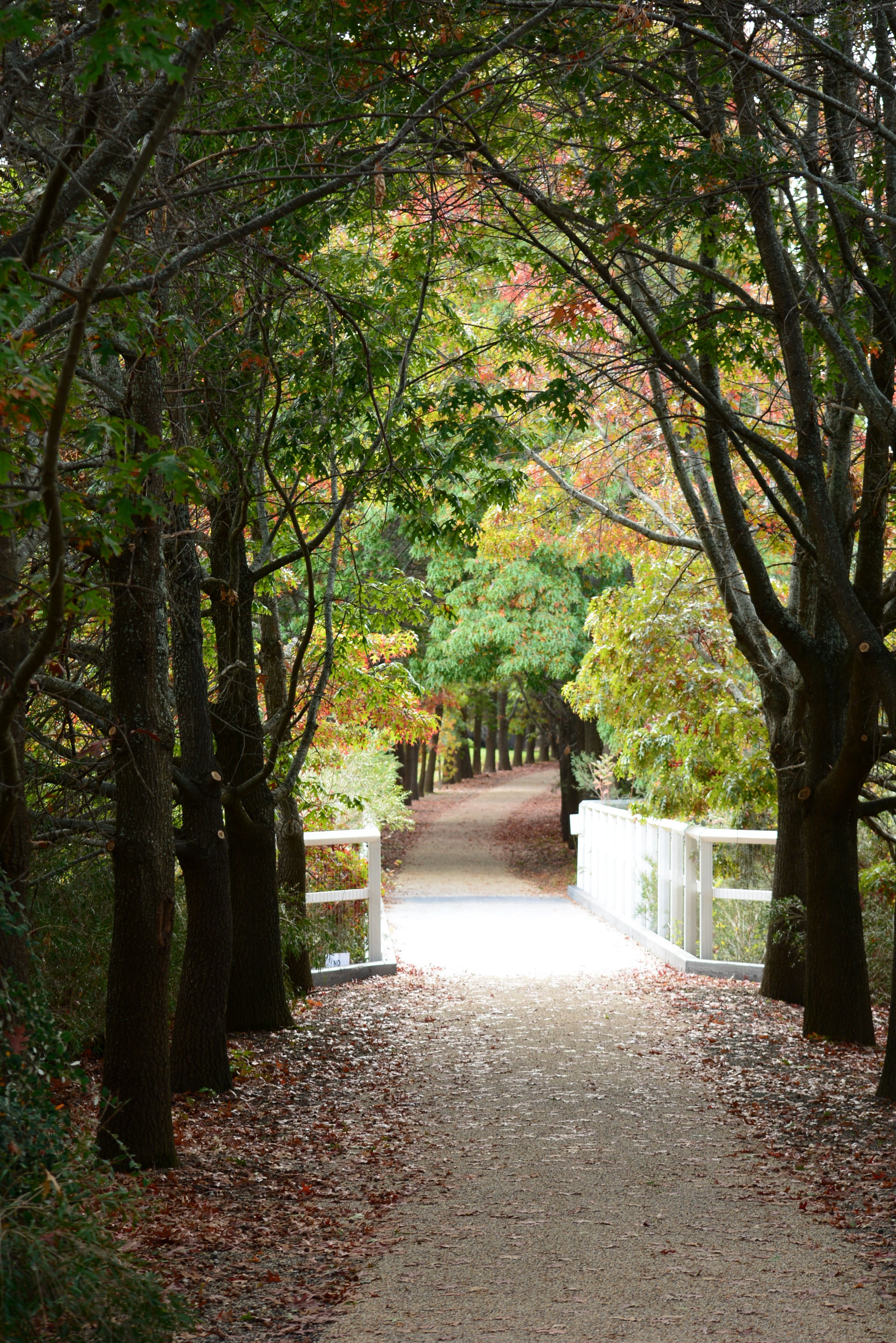 Beechworth Australia