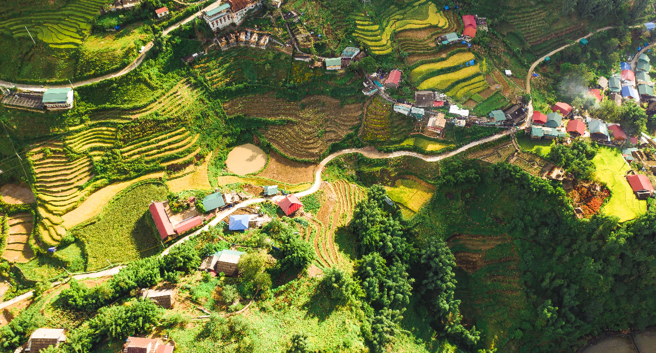 Sapa rice fields in Vietnam Aerial View
