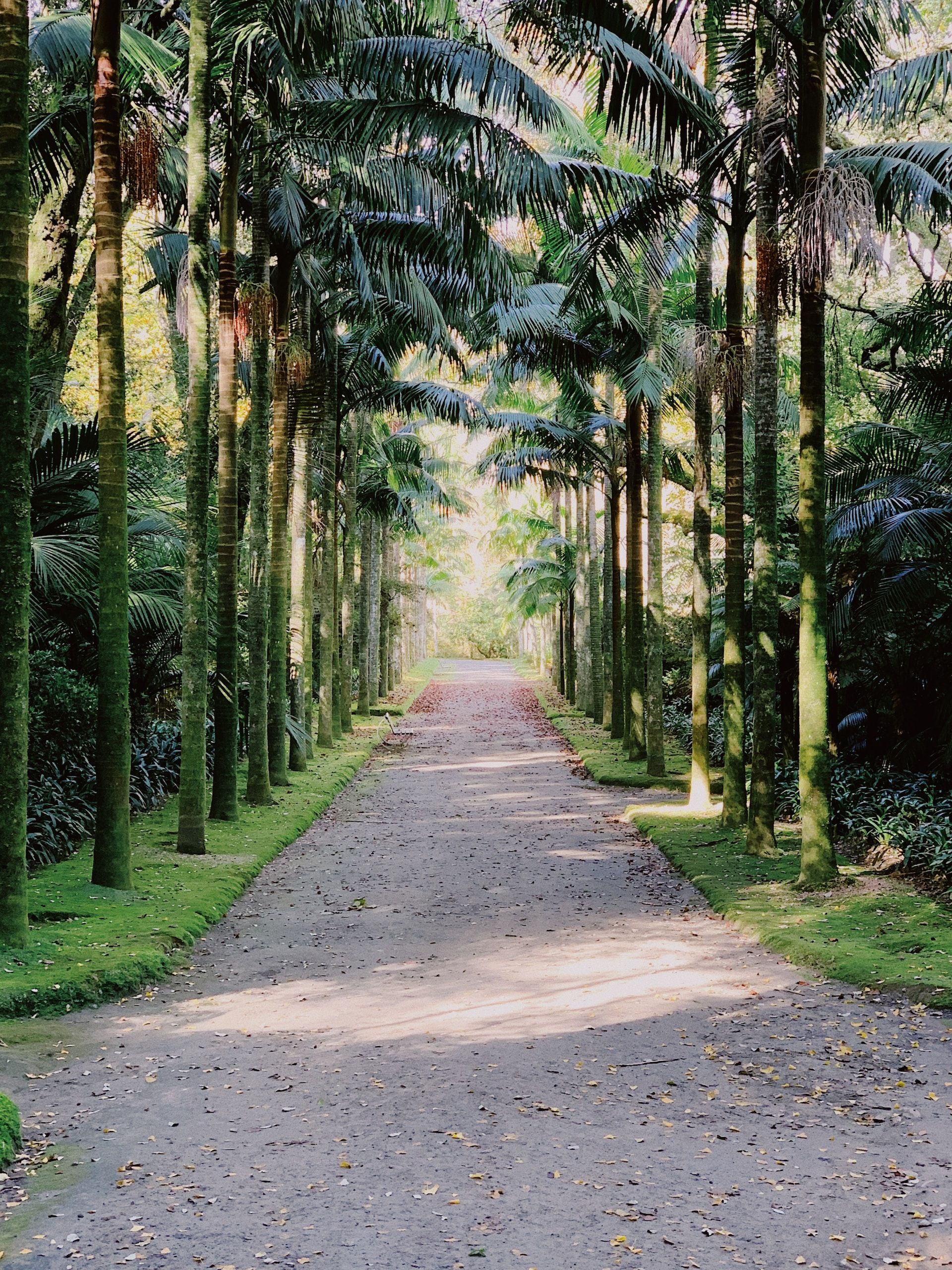 A pathway in Terra Nostra Park