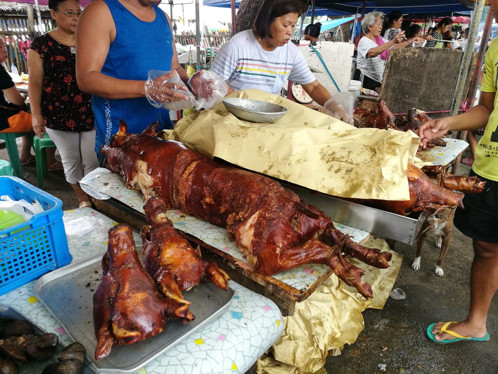 10 Things To Do In Cebu City: Complete Guide To Waterfalls, Ancient