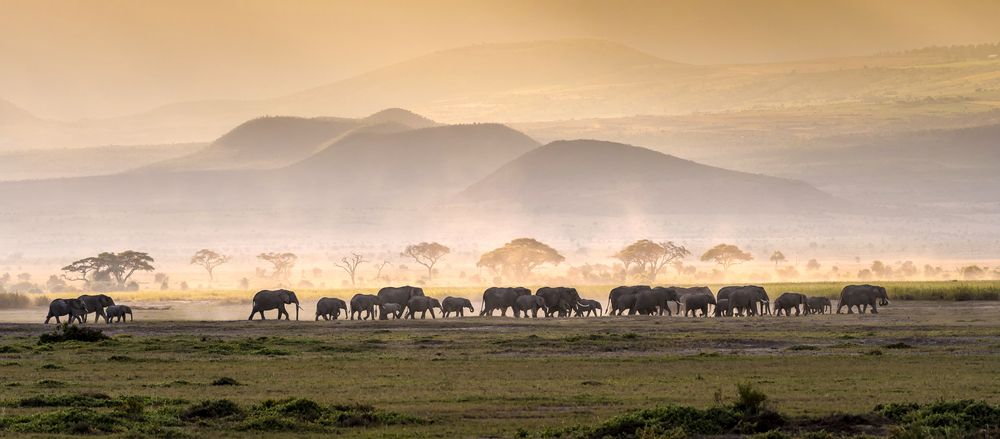 Serengeti National Park in Tanzania, Africa