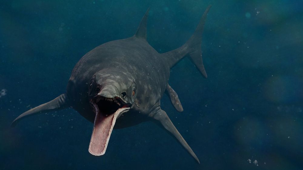 A 3D image of an Ichthyosaur, Stenopterygius quadriscissus swimming in the ocean