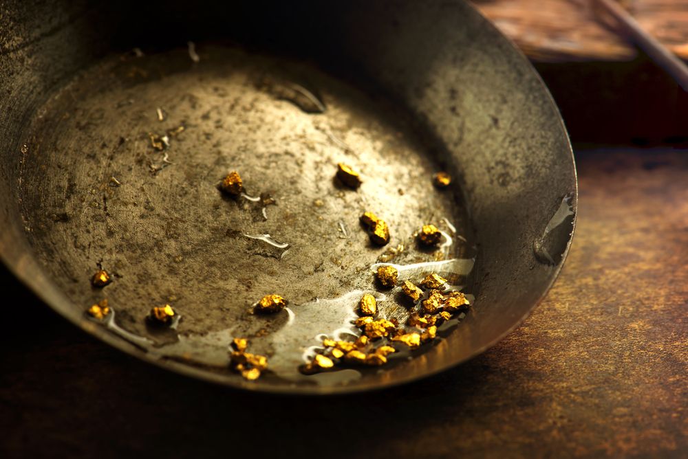 Finding gold while panning