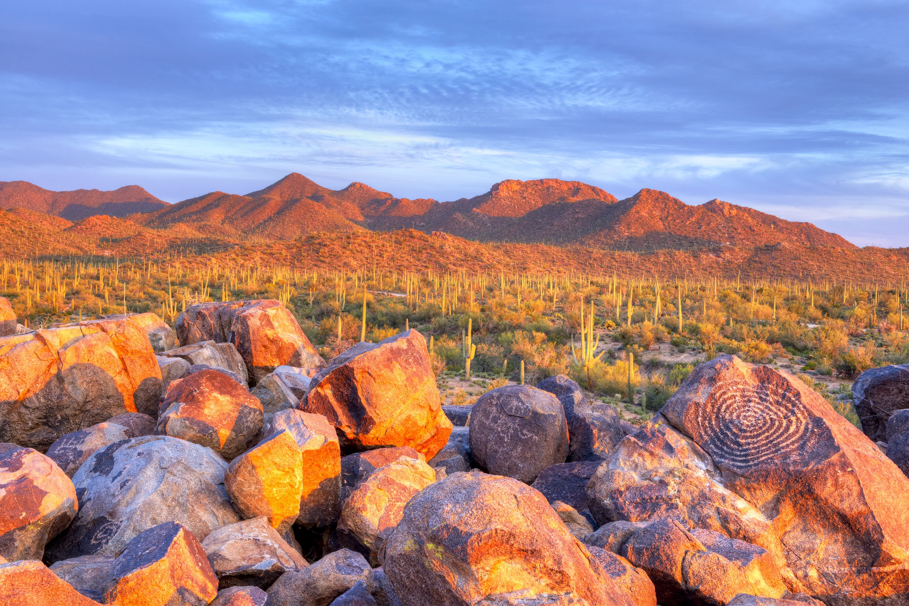 Petroglyphs on Signal Hill in Saguaro National Park 