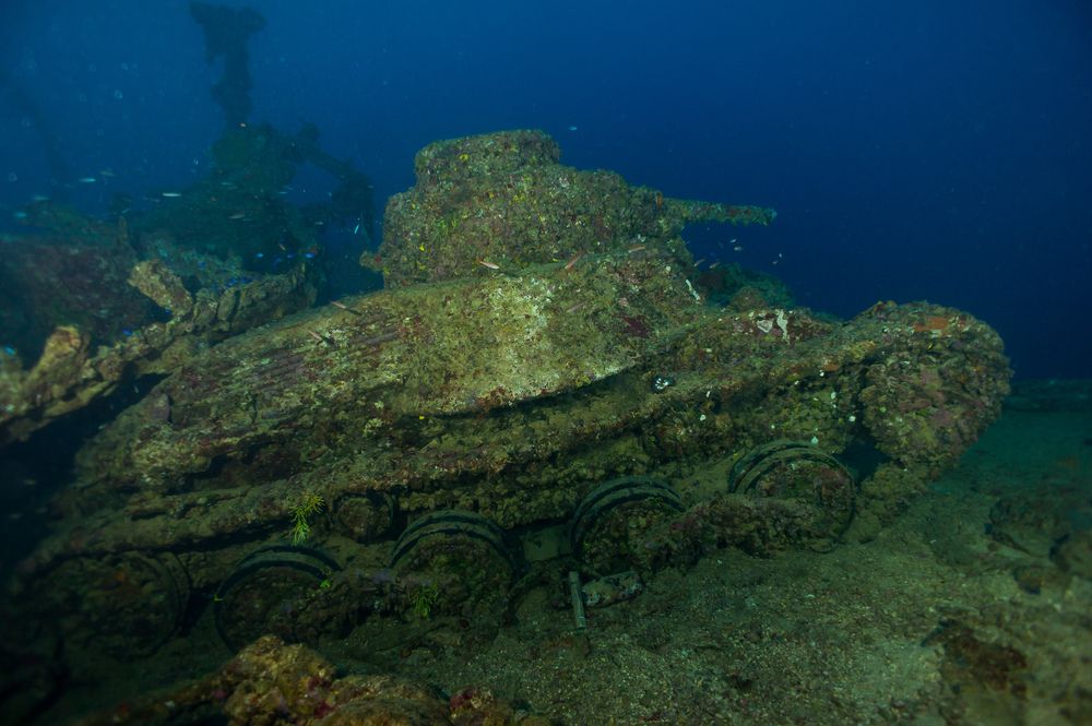 Coral growth on the hull of a sunken WWII cargo ship at Truk Lagoon in Micronesia