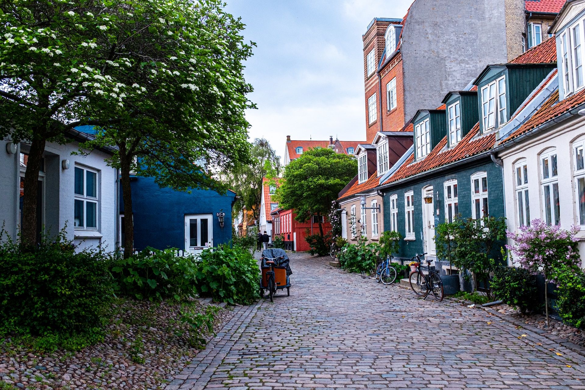 Colorful houses line the cobblestone streets of Møllestien, Aarhus, Denmark