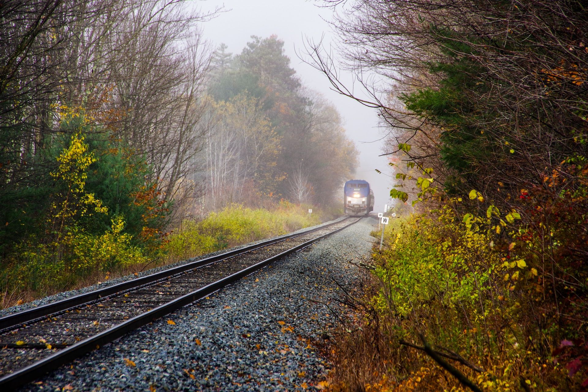 The Vermonter traveling through the tracks in Williston, Vermont. 