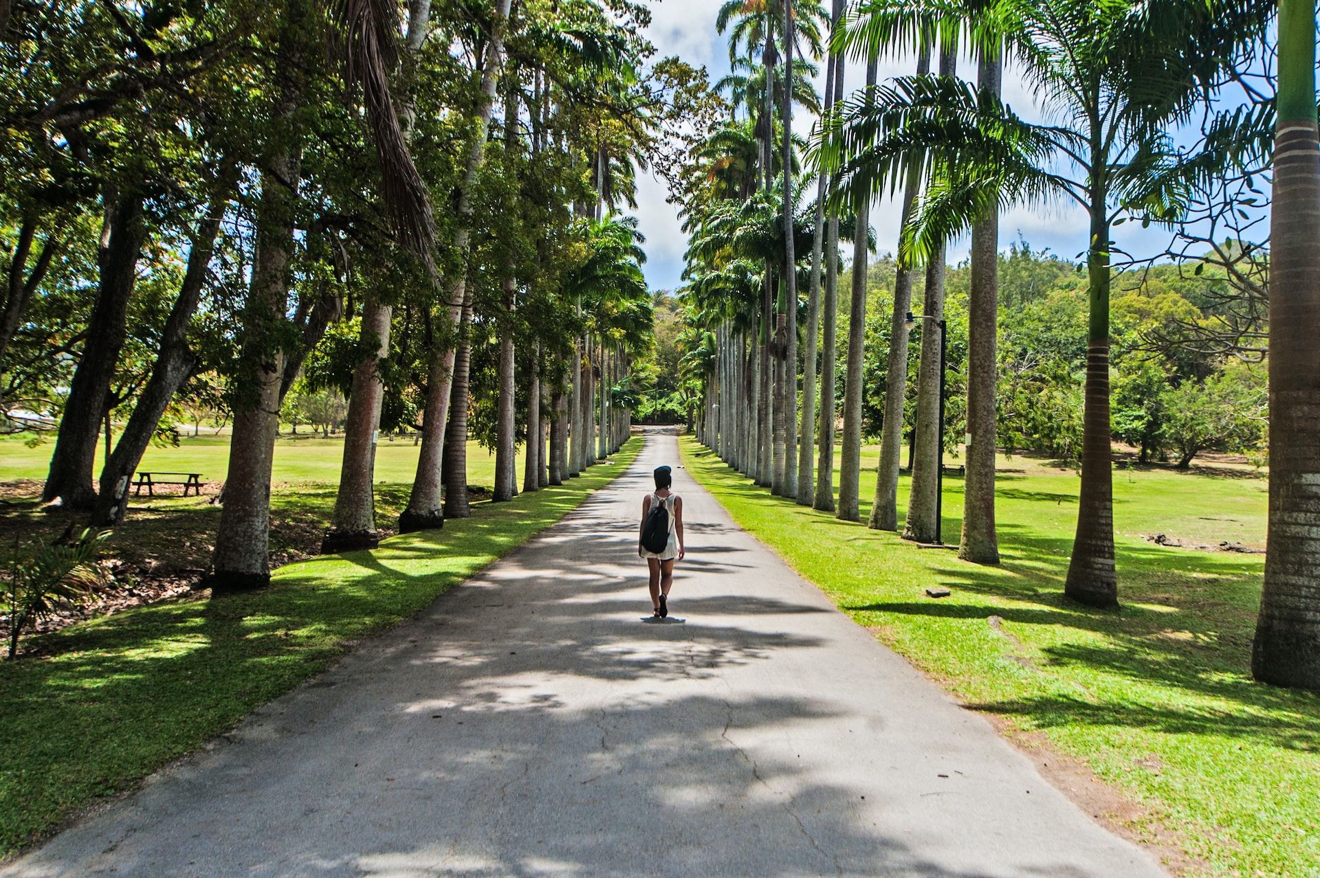 Girl on a path with palm trees in Codrington College, Barbados