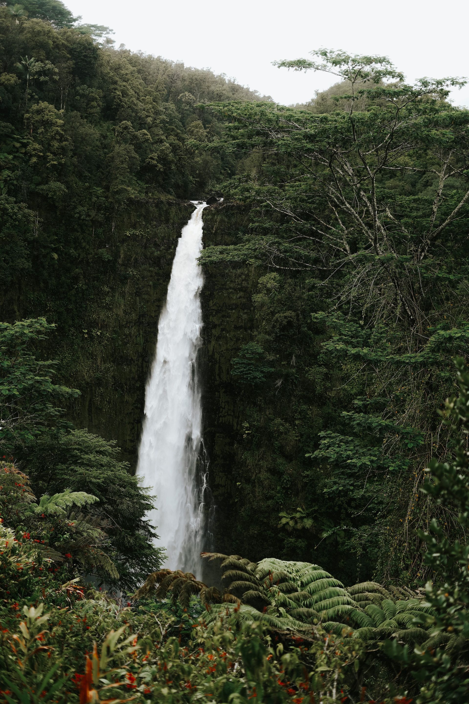 Waterfall, Honomu
