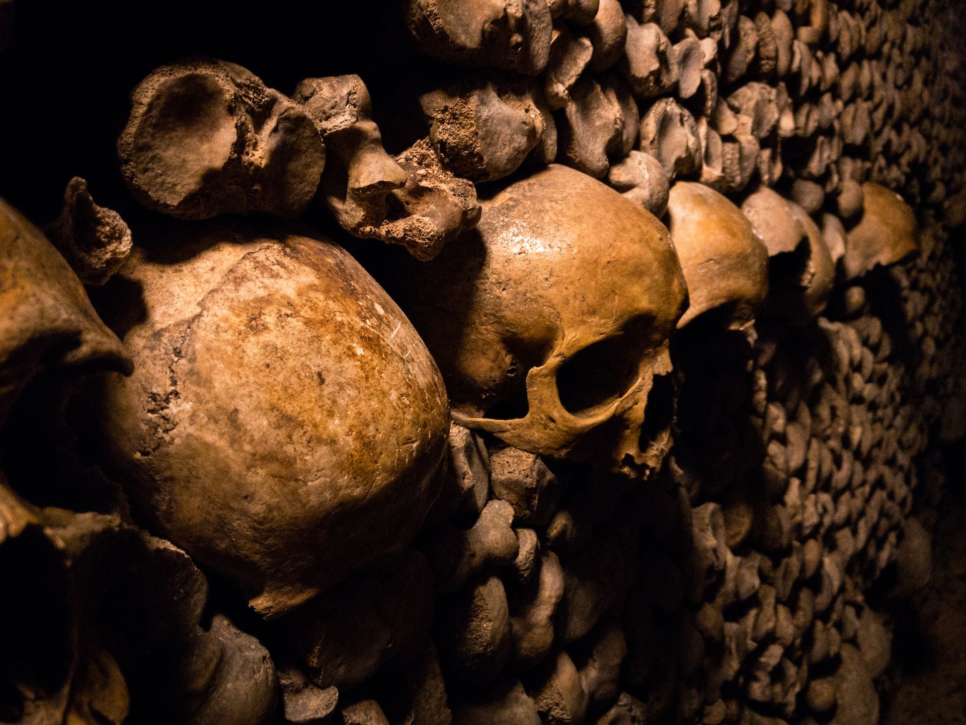 Skeletons Catacombs Paris 