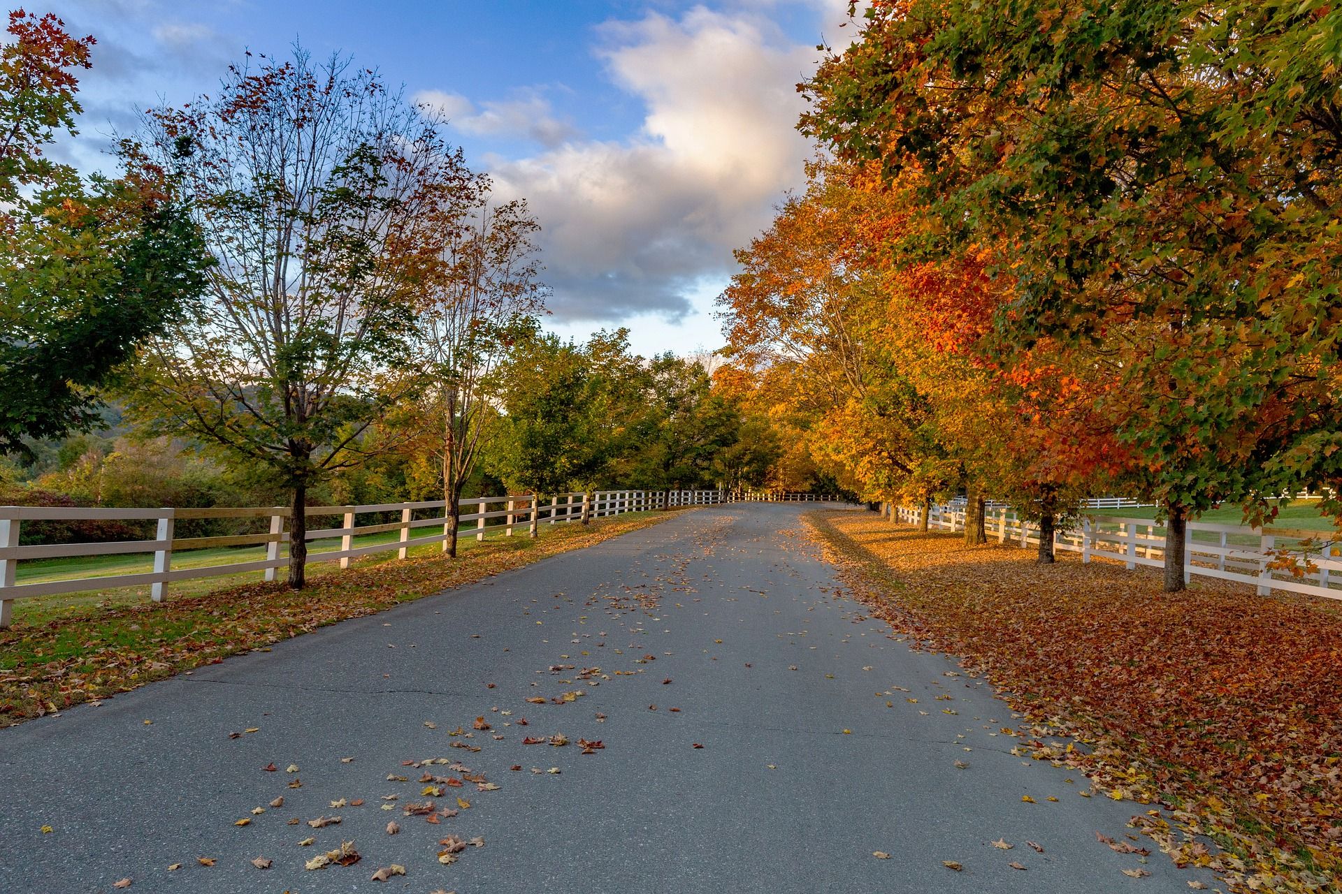A road in Woodstock, one of the best places in Vermont, New England, covered with fall leaves