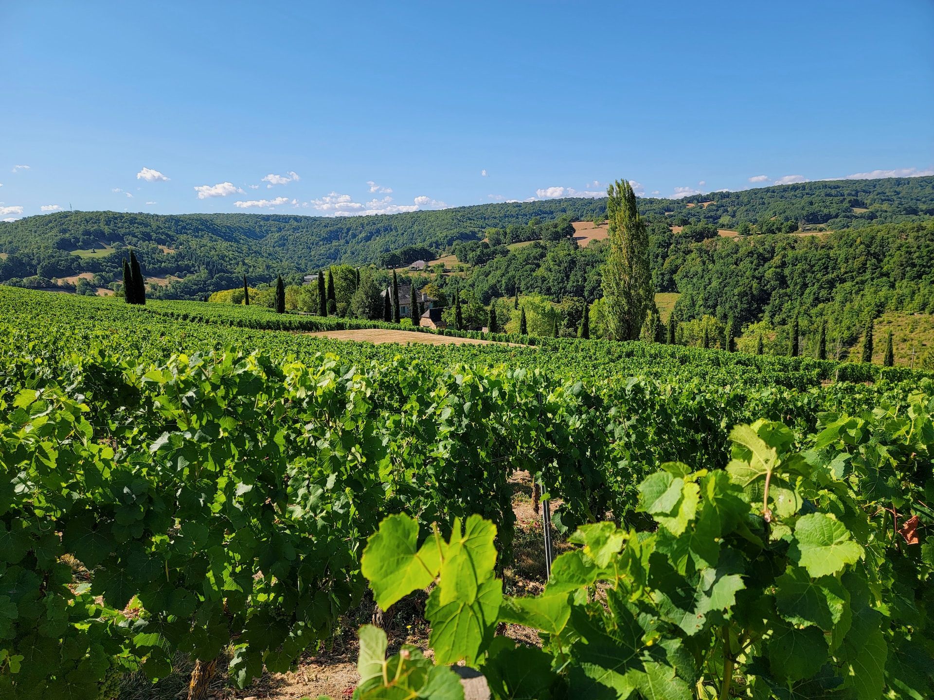 10 Of The Most Beautiful Vineyards In The Whole World