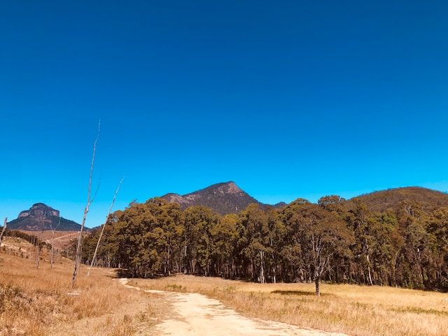 Mount Barney, Queensland