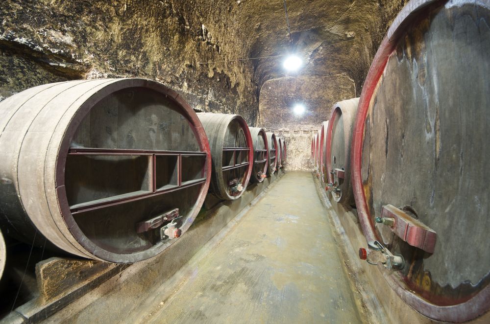 Wine barrels in Breze Castle, Loire Valley