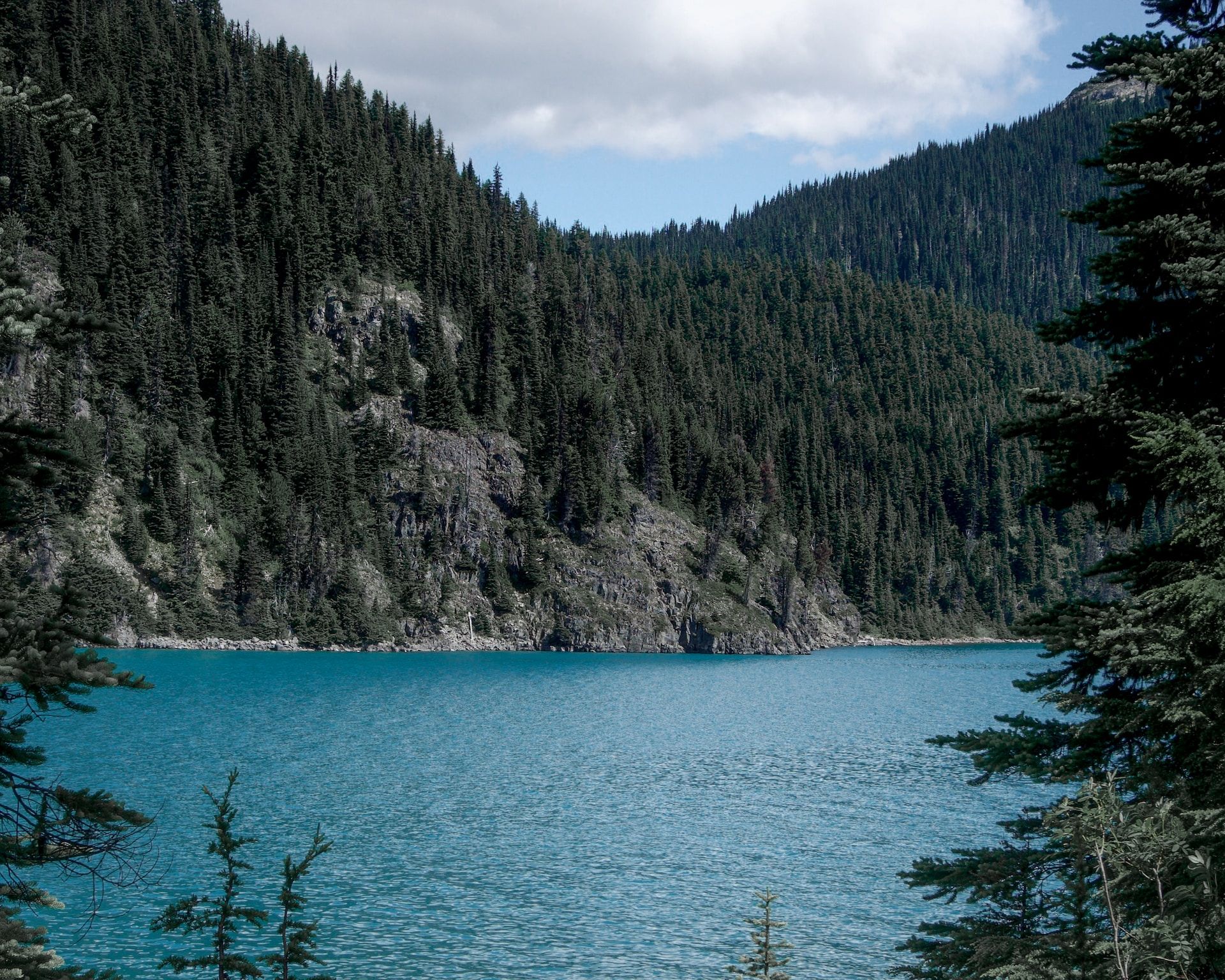 Garibaldi lake surrounded by trees under a cloudy sky