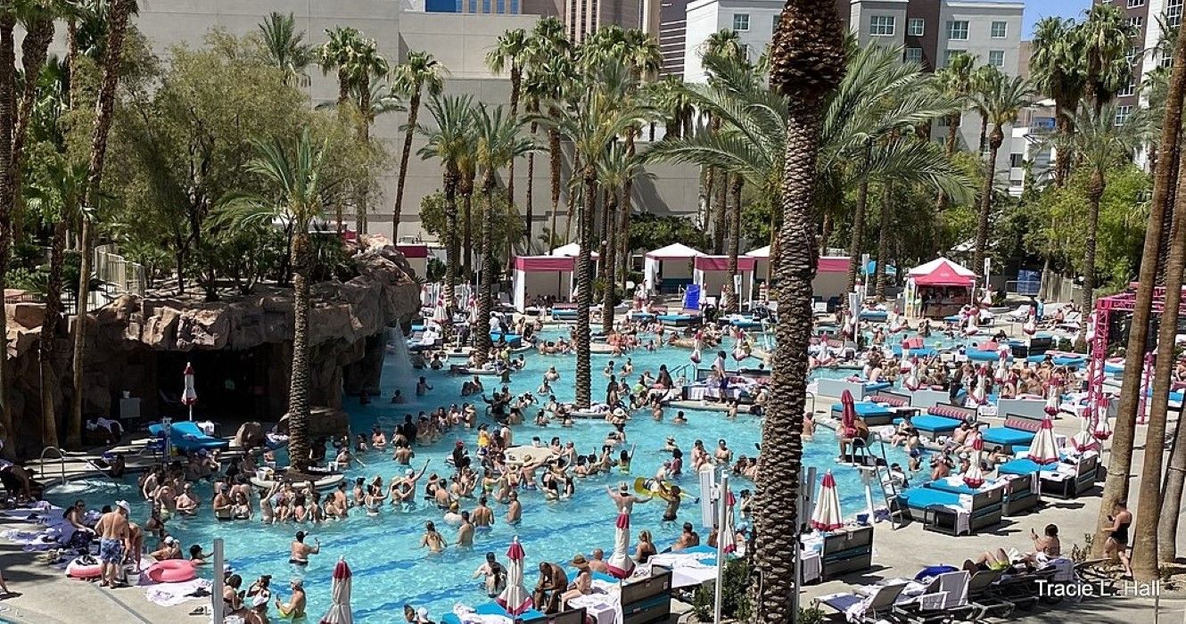 Pictures of the Pool at the Flamingo Las Vegas Hotel