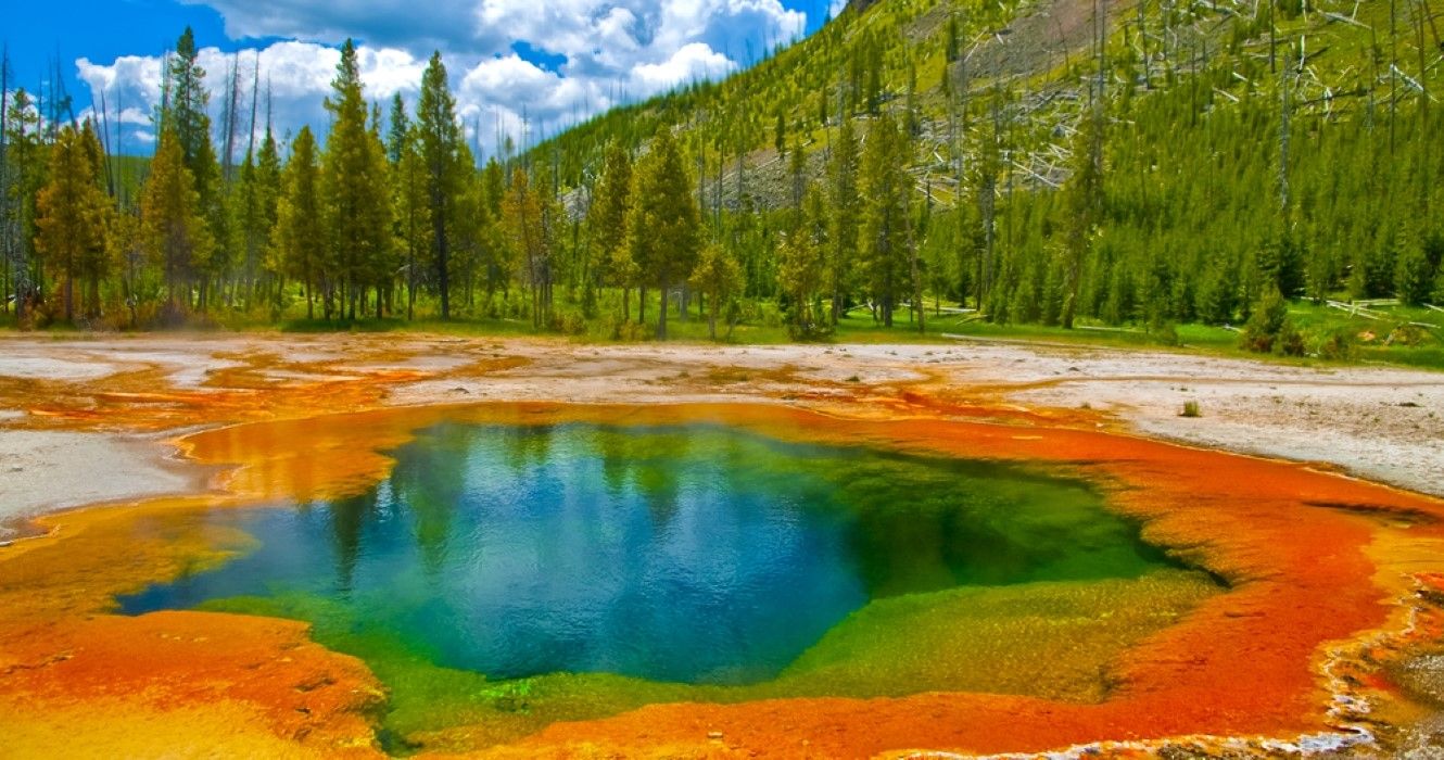 Deep green blue geyser pool in Yellowstone National Park, USA
