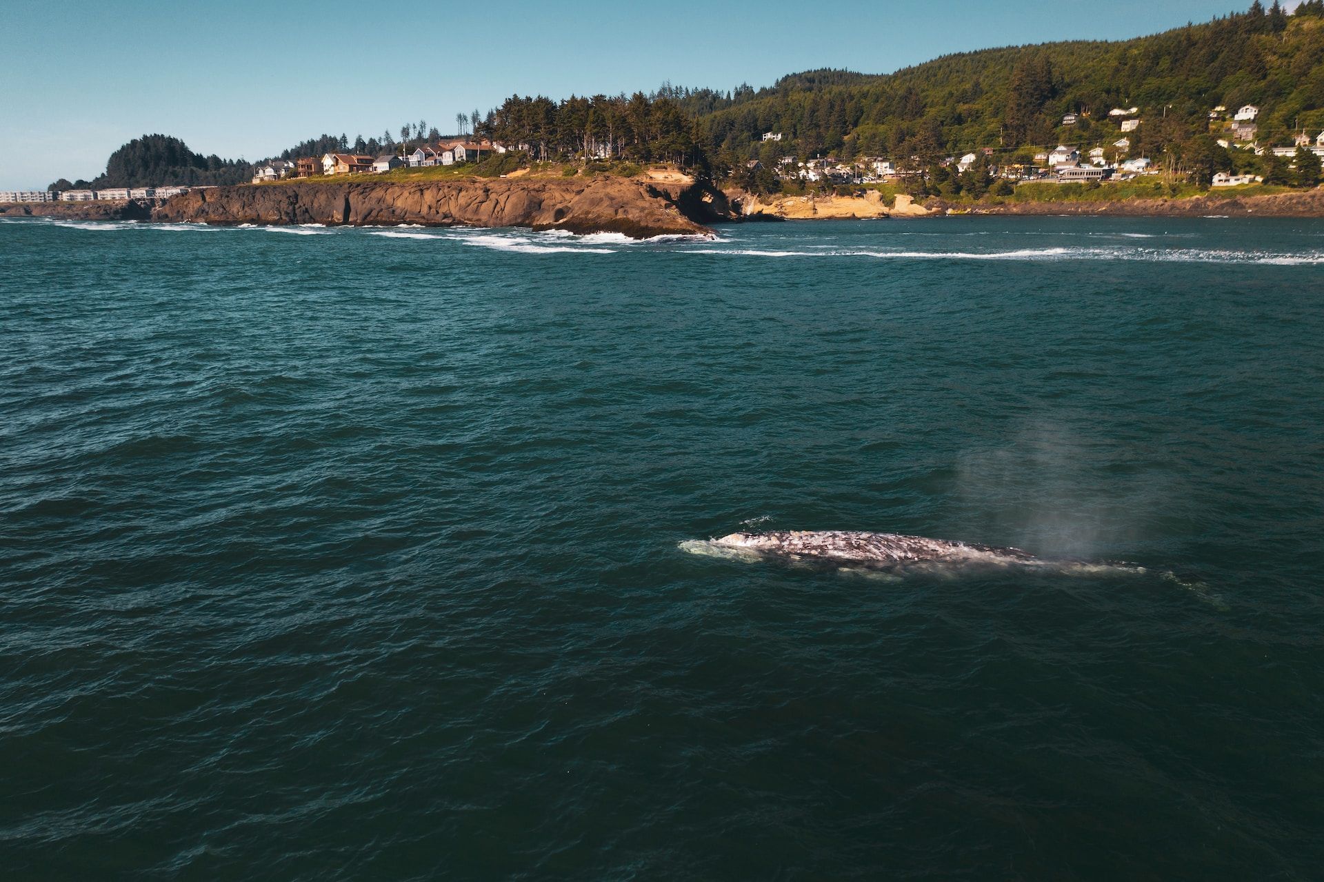 10 meilleures plages de l'Oregon qui vous feront tomber amoureux de la ...