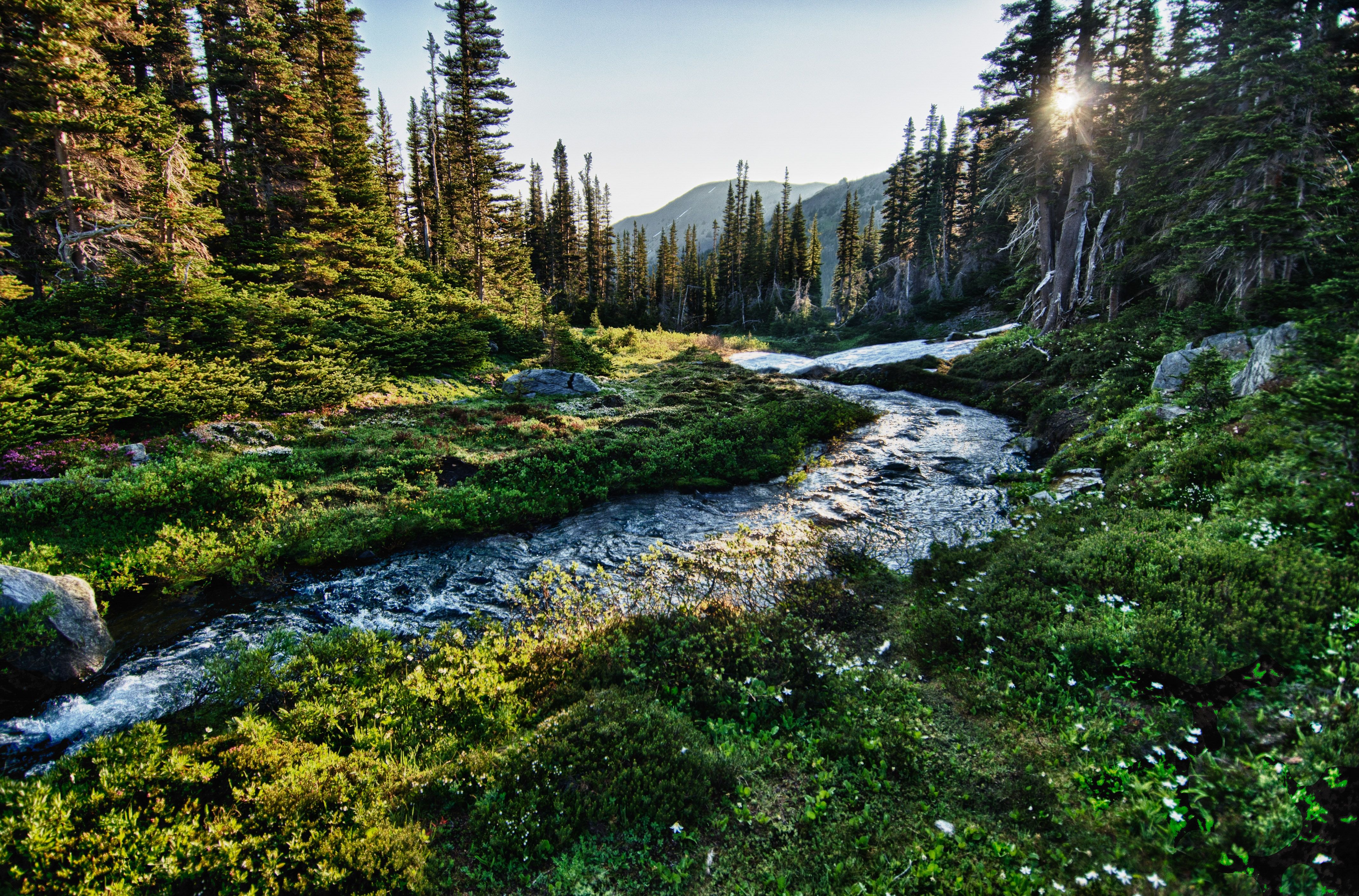 Olympic National Park Washington