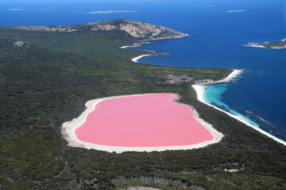 The pink Lake Hillier, Western Australia
