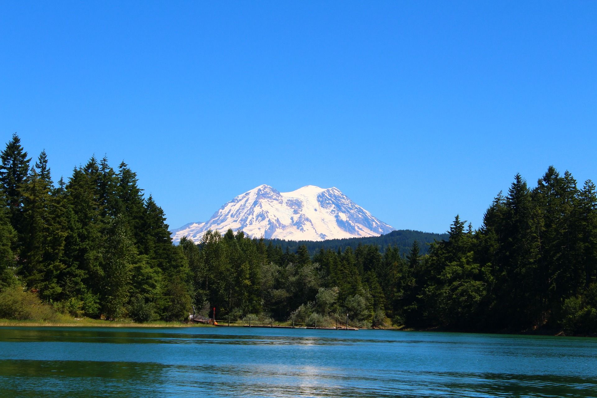 A view of Mount Rainier in Washington from a lake surrounded by trees