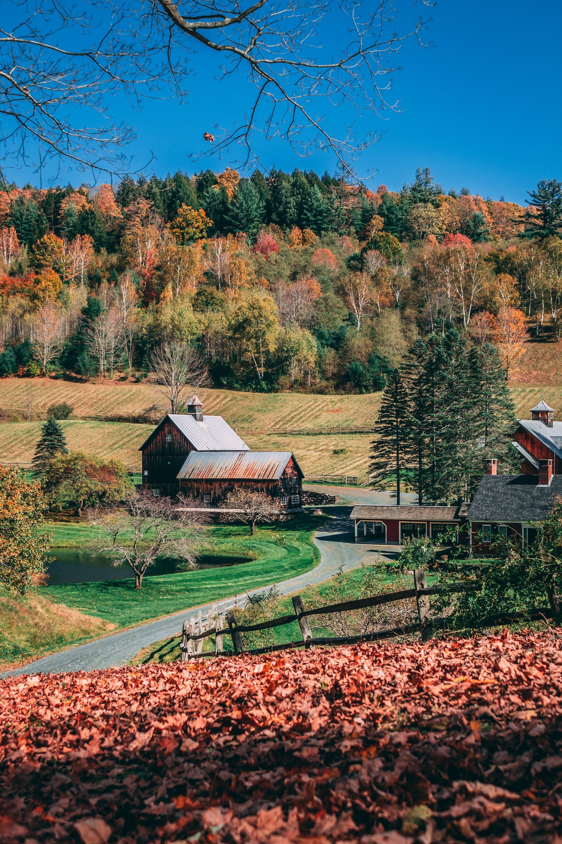 Fall foliage in a farm in Woodstock, Vermont, USA