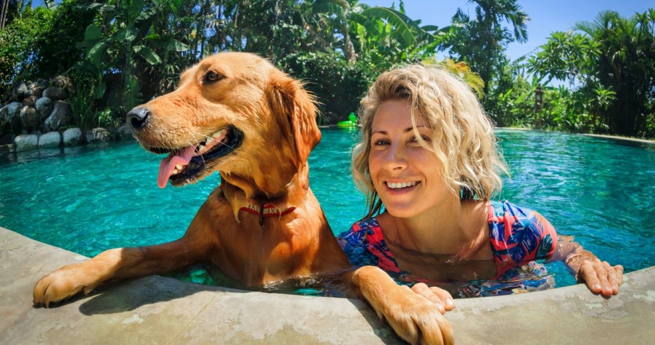 Pawsome Retreats 10 Most DogFriendly Hotels For Canine Adventures