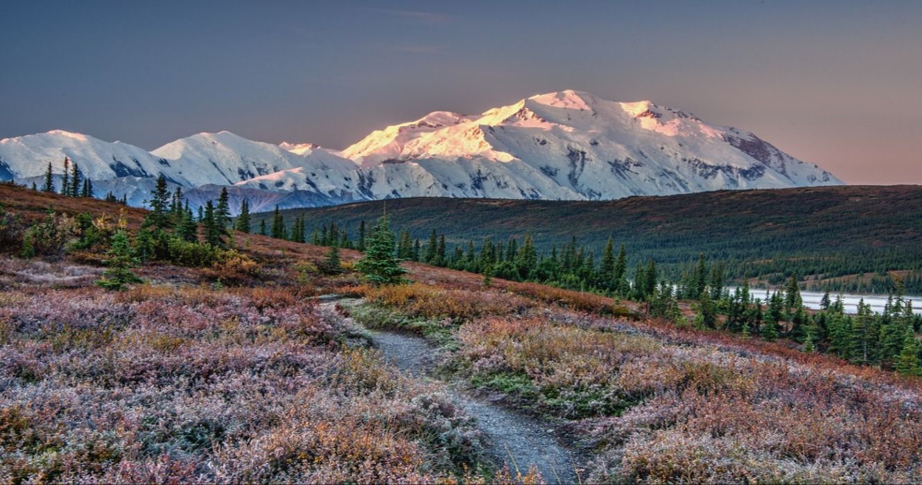Alaska's Mount Denali looms over Wonder Lake, with a clear sky above and a light frost on the foreground tundra, Alaska, USA