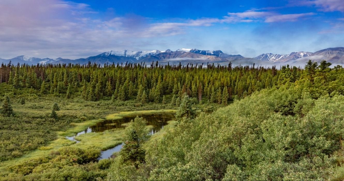 Boreal Forest or the Taiga Wilderness landscape with Kluane National Park mountains of Mt. Cairnes and Mt Decoeli near Silver City, western Yukon Territory, Canada