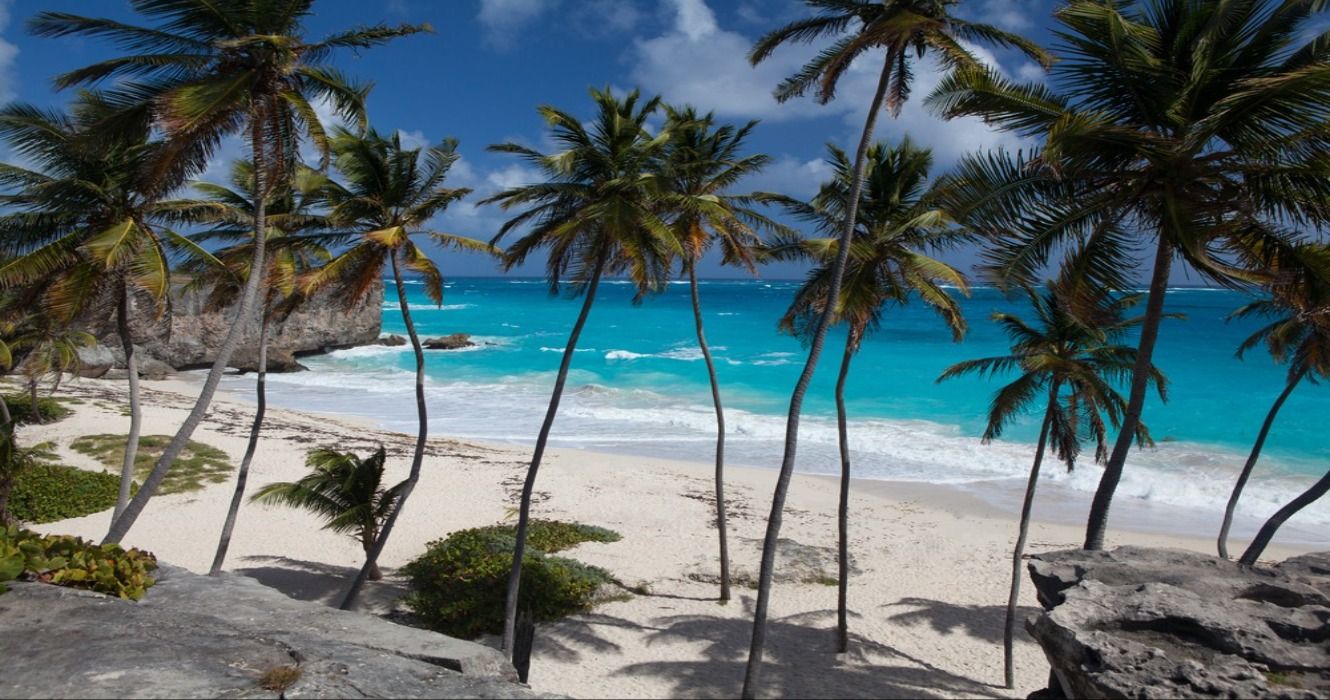 Turquoise ocean, palm trees, and the white sand beach at Bottom Bay, one of the prettiest beaches in Barbados