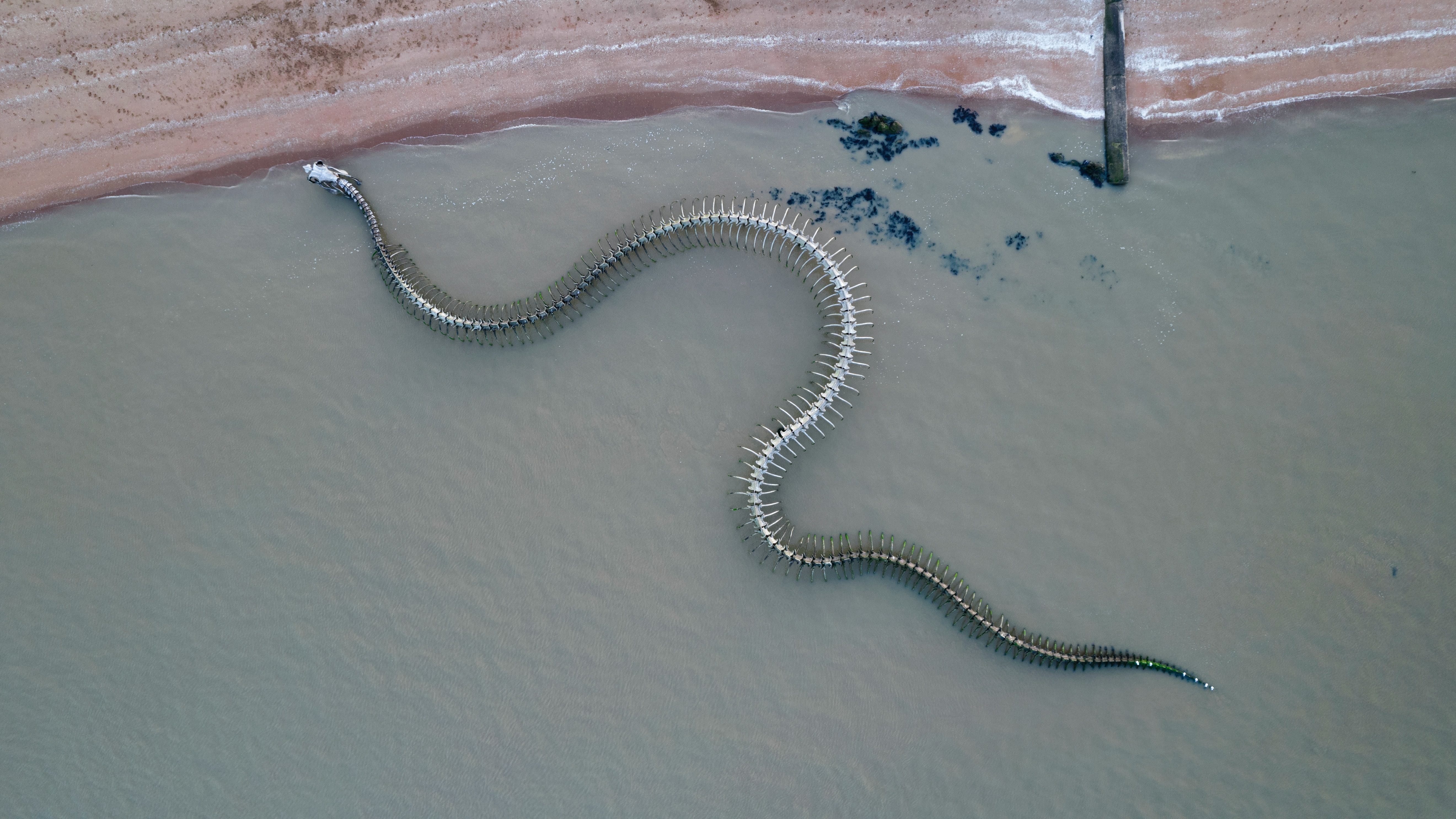 Serpent of the Ocean on the coast in France from above