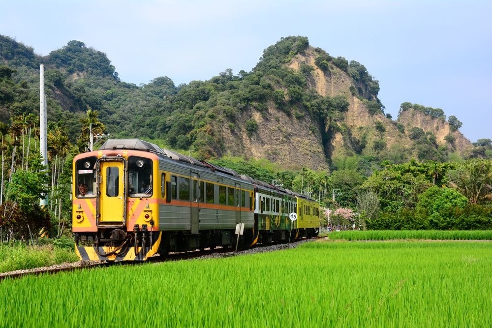 Diesel trains on the Jiji line passing through the rice fields in Changhua, Taiwan