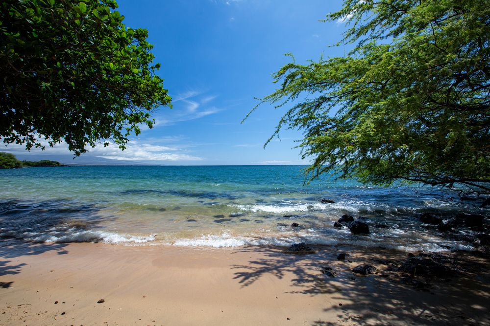 Sandy beach and blue ocean through the green trees at Spencer Beach Park, Big Island, Hawaii, USA