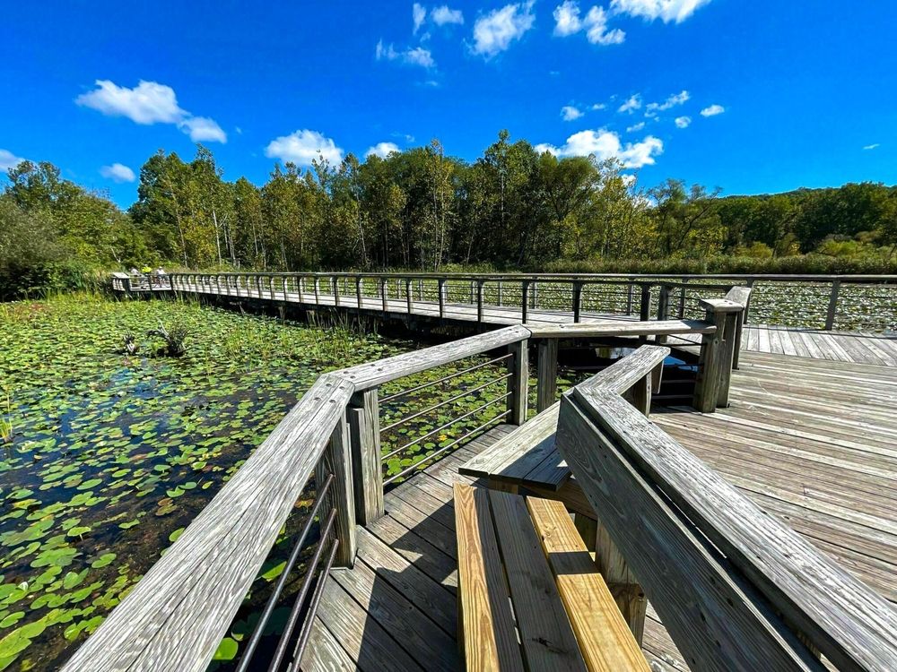 Boardwalks along the hiking trails in  Cuyahoga Valley National Park In Ohio, United States