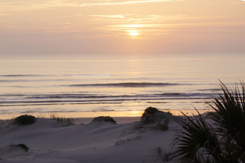 A soft orange and yellow sunrise beyond the sand dunes and plants on Crescent Beach, Saint Augustine, Florida