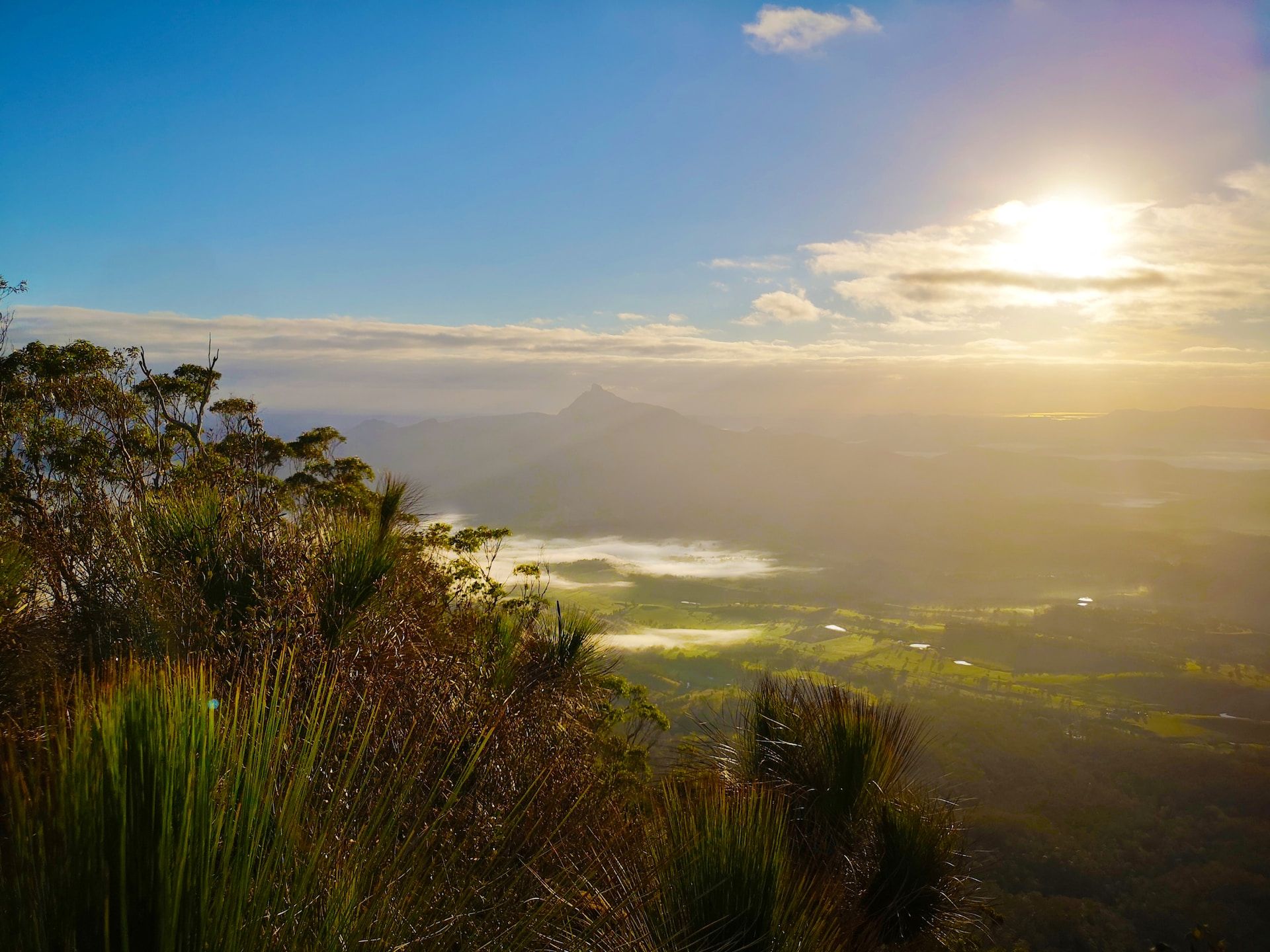 Mt Wollumbin (also known as Mount Warning) from the Pinnacle Lookout, Border Ranges National Park, New South Wales, Australia